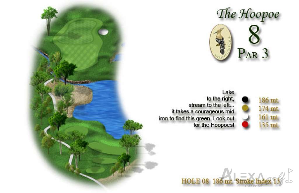 Hole 8 — Original PGA Sultan course planner
