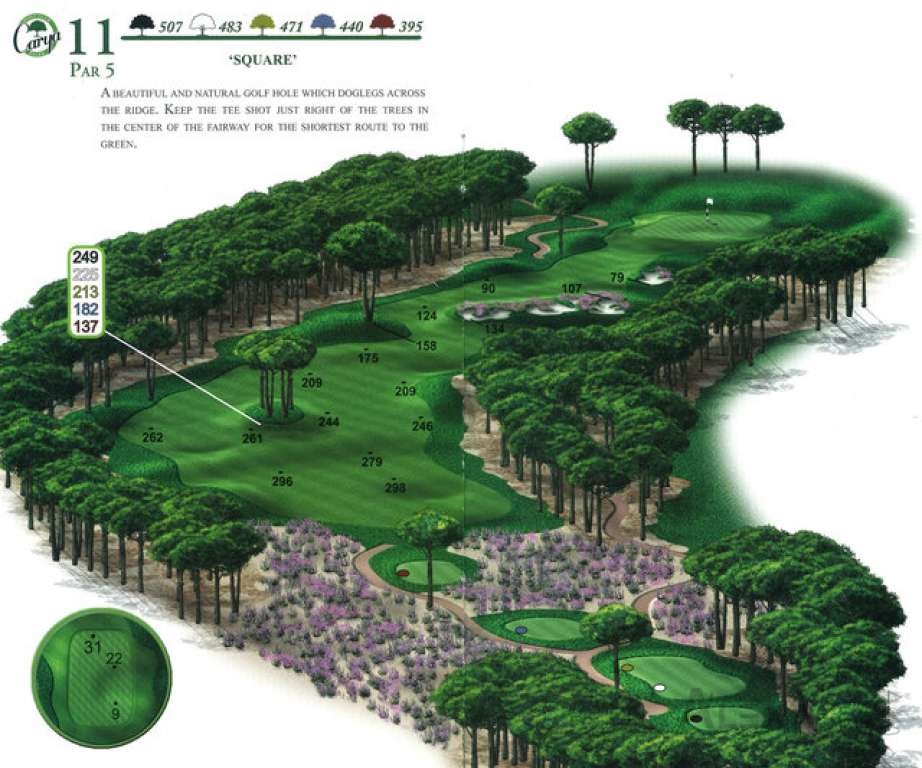 Hole 11 — Original Carya course planner