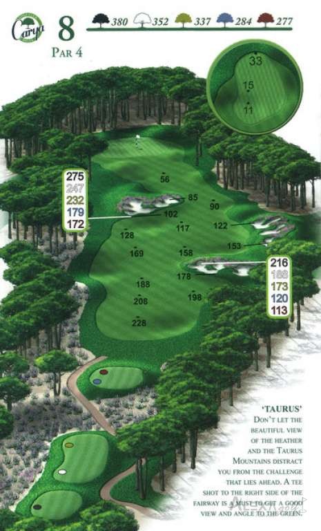 Hole 8 — Original Carya course planner