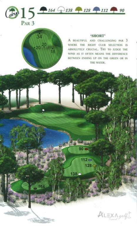 Hole 15 — Original Carya course planner