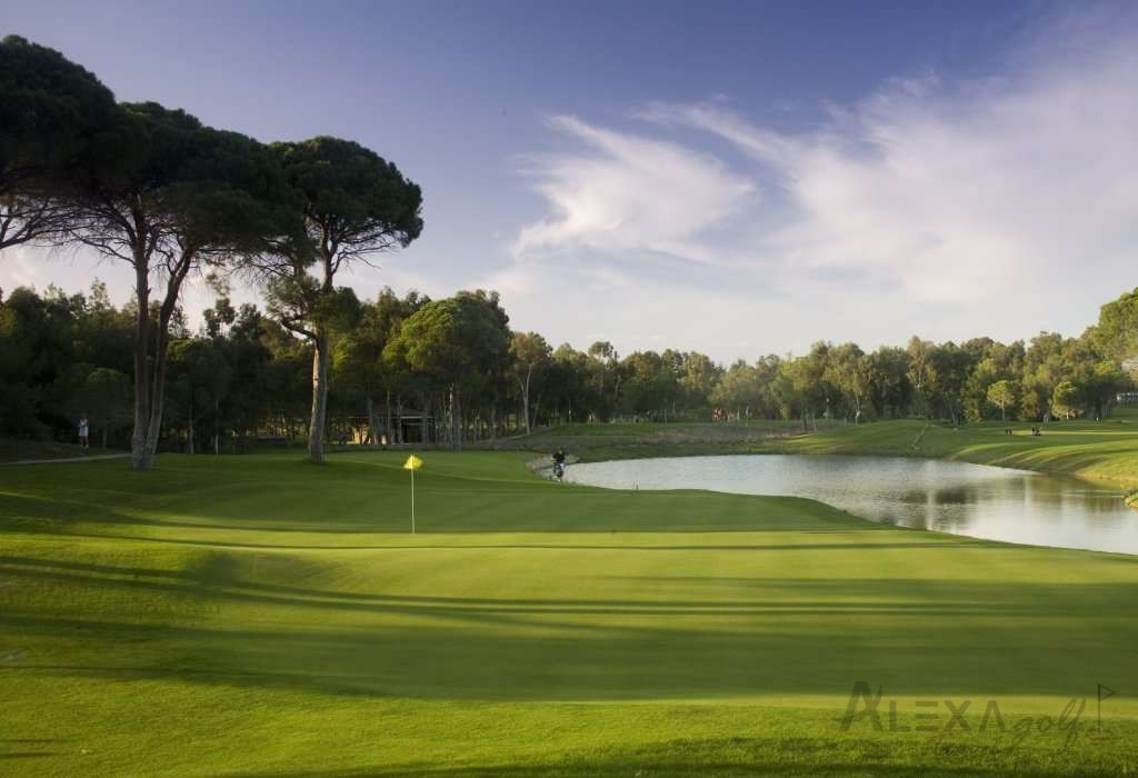 Course view at Carya Golf Club in Antalya