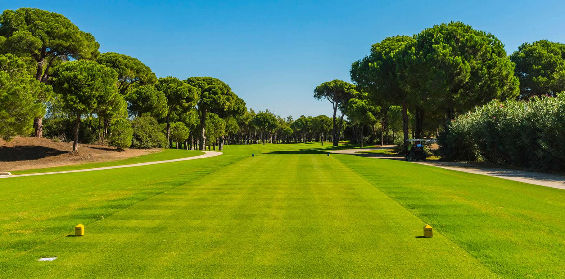 Golf landscape at Gloria Verde Course