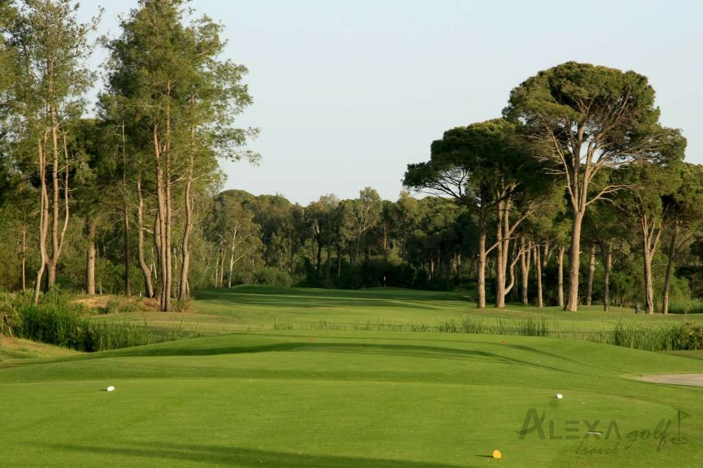 Fairway and green at PGA Sultan Course