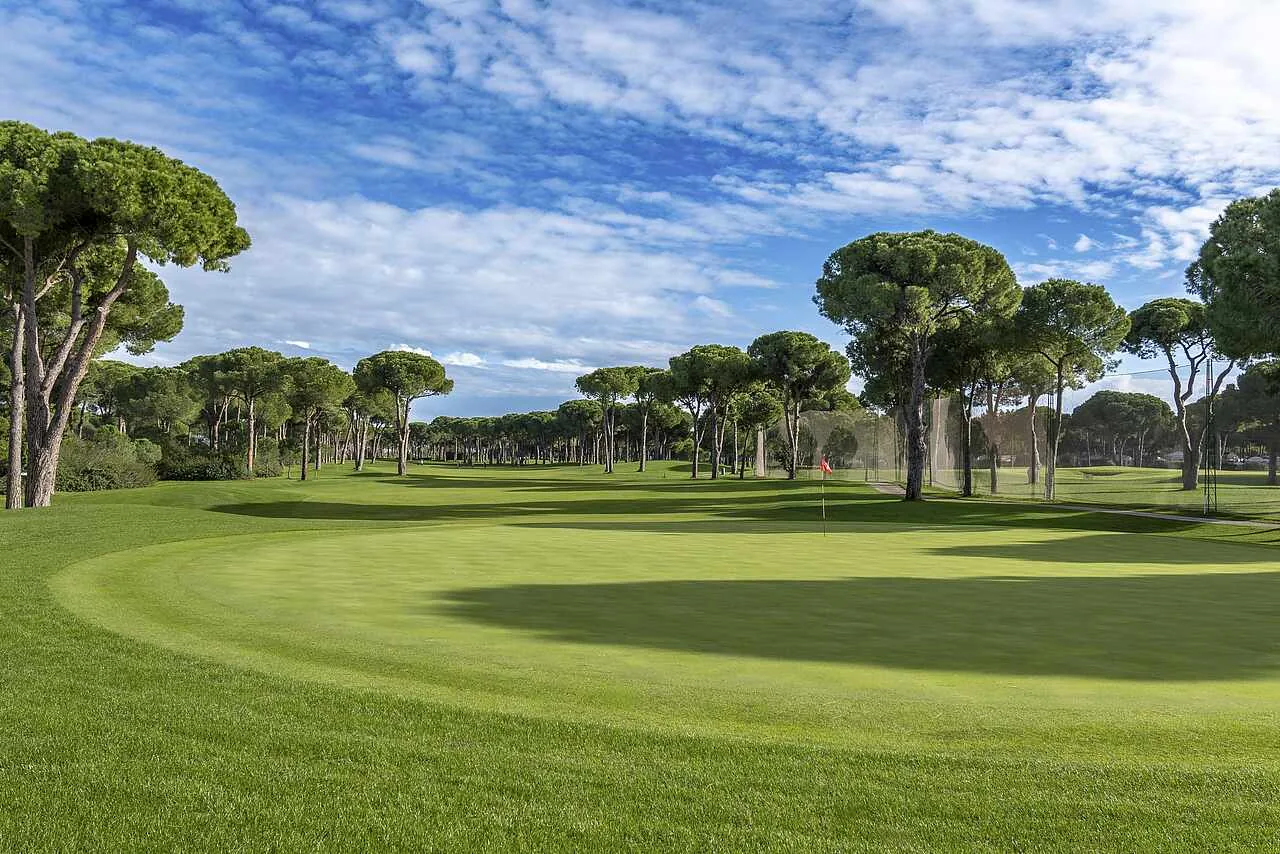 Pine-lined green at ROBINSON Golf Club Nobilis
