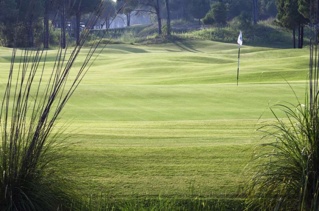 Fairway and green at Sueno The Pines Course