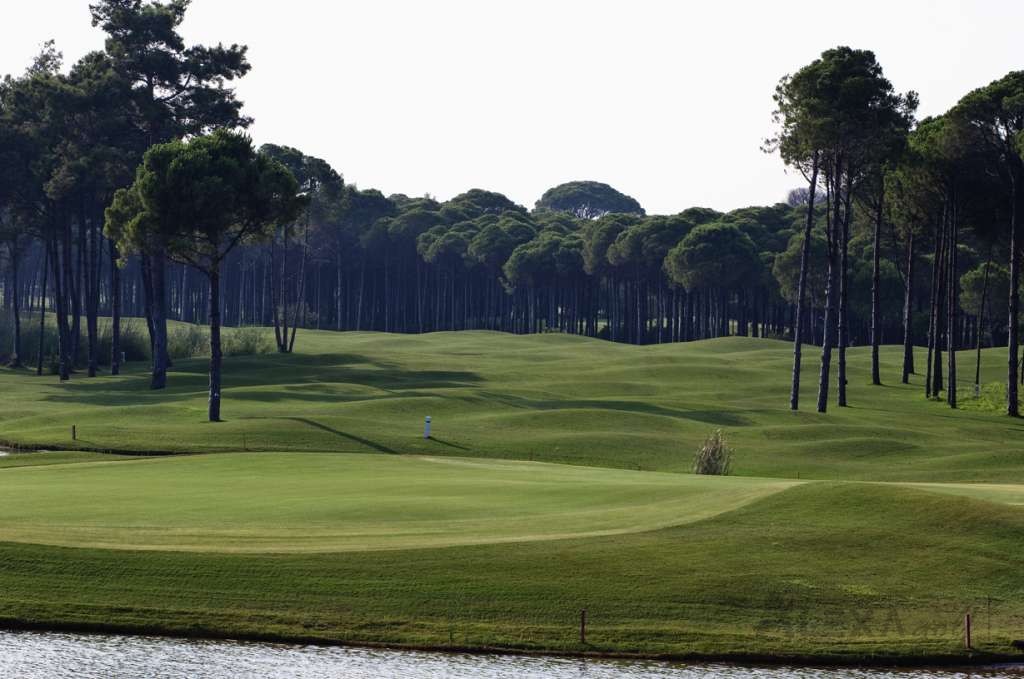 Golf landscape at Sueno The Pines Course